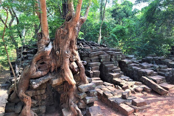 Angkor Wat Sunrise Half Day by Join-in Tour - Who Is This Tour Best For?