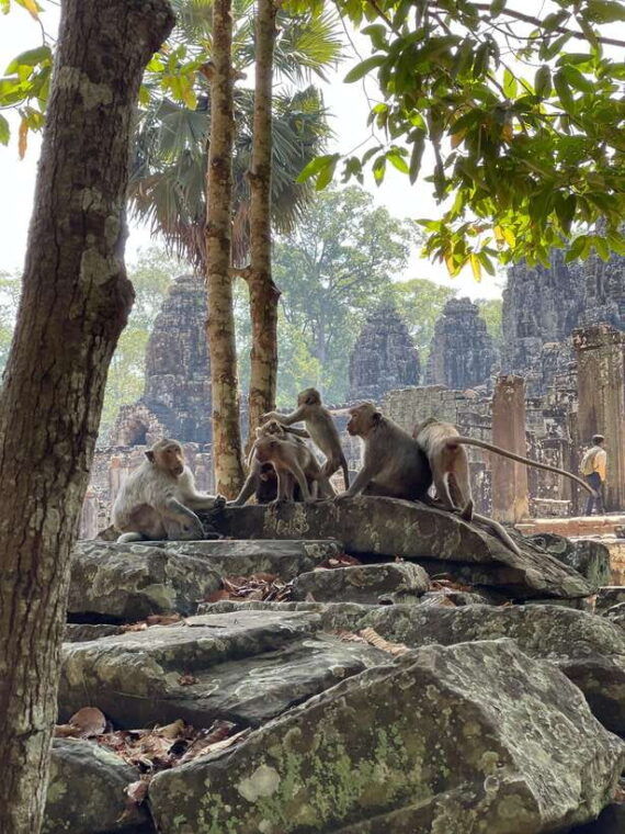 angkor-wat-sunrise-private-full-day-tour