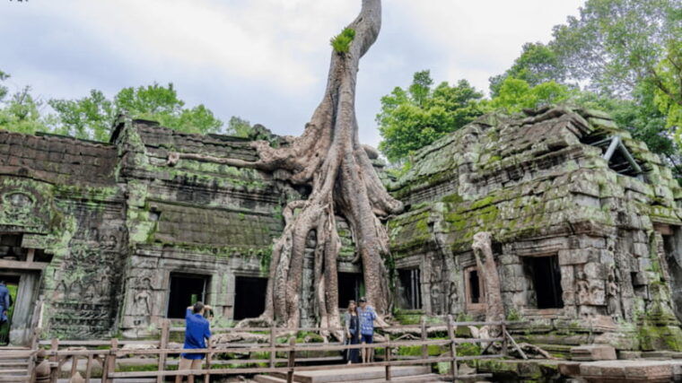 angkor-wat-sunrise-private-tour