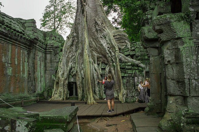Angkor Wat Sunrise Small Circuit Tour with Transportation Only - Who Should Consider This Tour?