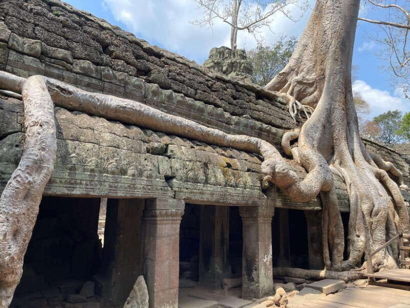 angkor-wat-sunrise-tour-in-siem-reap-small-group