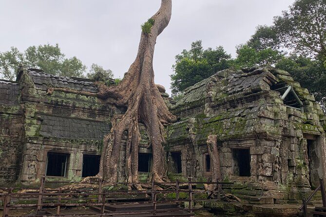 Angkor Wat Sunset TUK TUK Tour - Why You Should Consider This Tour