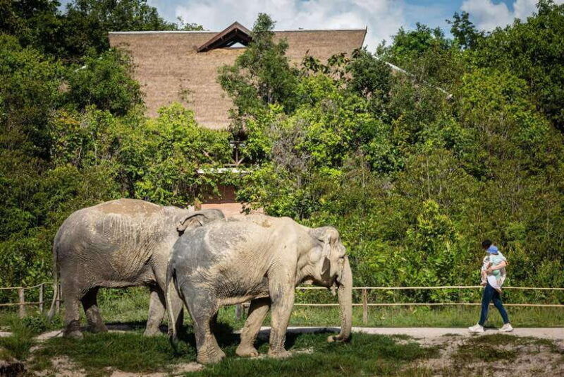 angkor-wat-temples-kulen-elephant-forest-day-tour