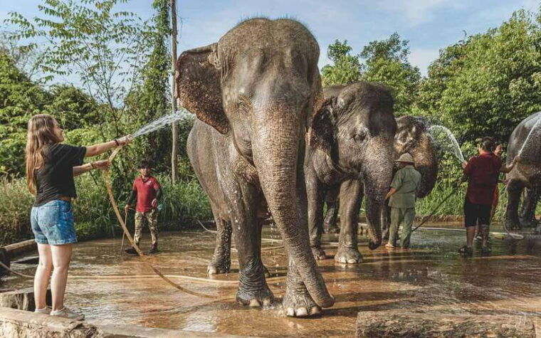 angkor-wat-temples-kulen-elephant-forest-day-tour