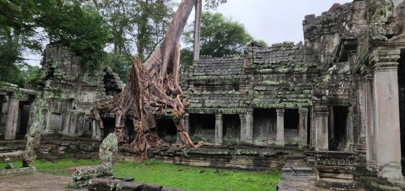 angkor-wat-temples-tour-by-car-with-optional-sunrise