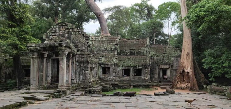 angkor-wat-temples-tour-by-car-with-optional-sunrise
