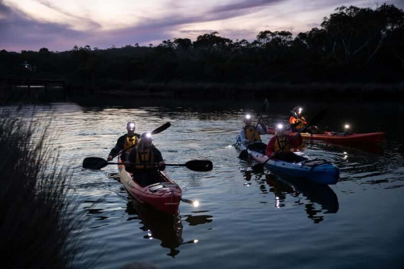 Anglesea: Night Kayaking Tour Under the Stars - The Meeting Point and Practical Details