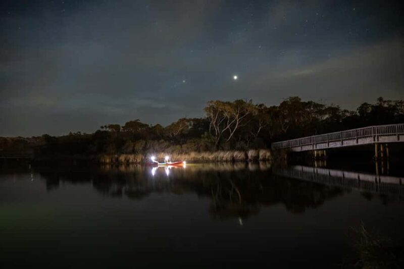 Anglesea: Night Kayaking Tour Under the Stars - What to Bring and Wear