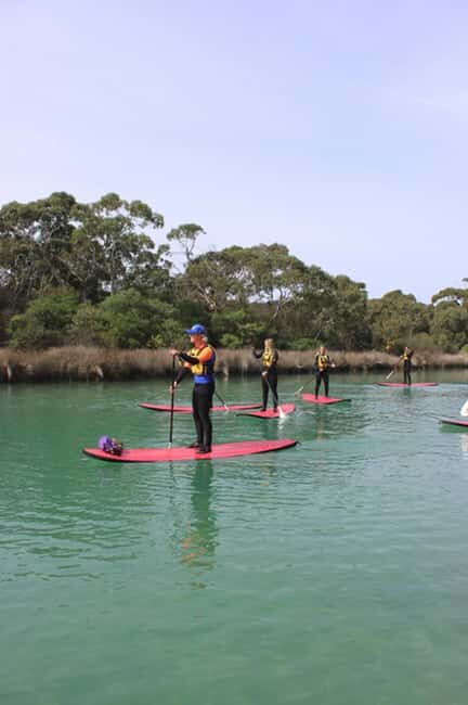 Anglesea: Stand-Up Paddleboard Lesson on the River - Anglesea: Stand-Up Paddleboard Lesson on the River