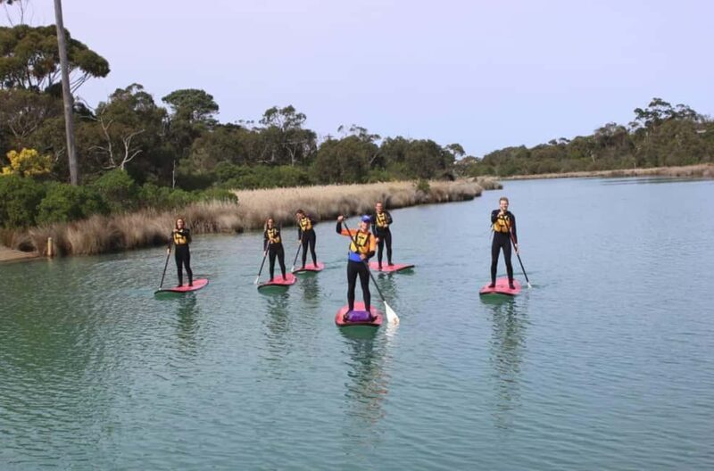 Anglesea: Stand-Up Paddleboard Lesson on the River - Equipment and Inclusions