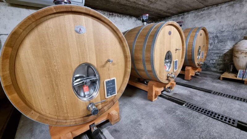 aniane-chateau-capion-wine-tasting-experience