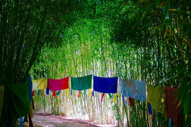 Anima Garden Admission Ticket - Final Thoughts