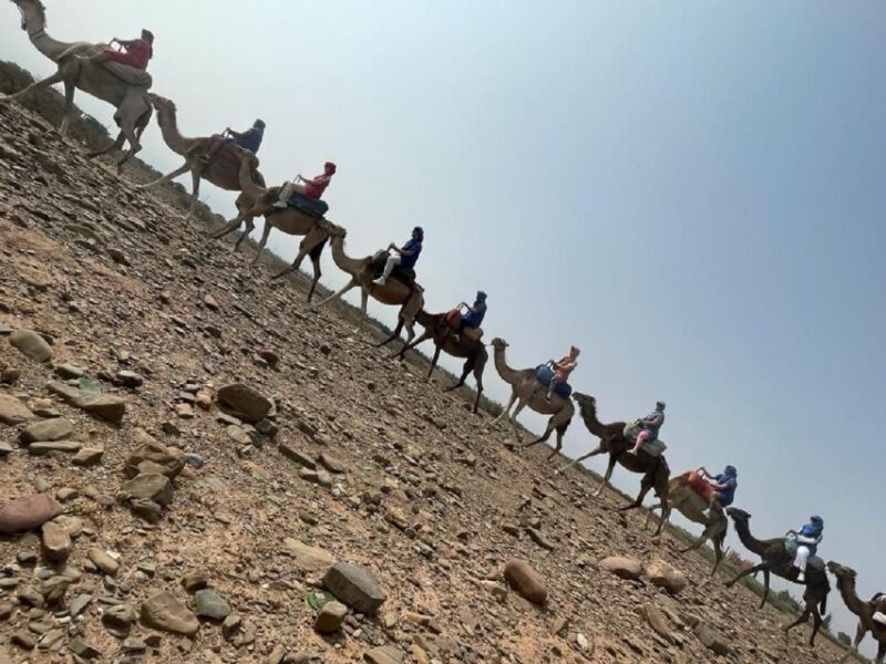 Anima Garden And Camel ride Half Day Tour From Marrakech - Final Thoughts: Is This Tour Worth It?