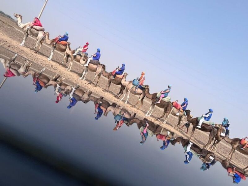 Anima Garden And Camel ride Half Day Tour From Marrakech - FAQ