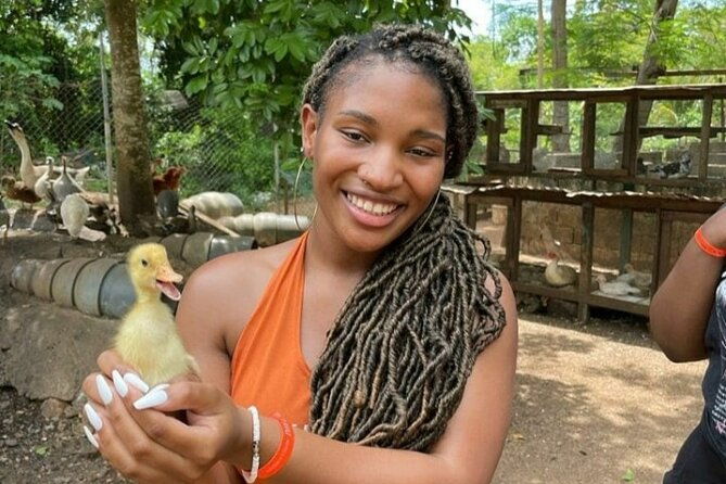 animal-farm-mini-zoo-bamboo-rafting-and-limestone-massage-private-tour