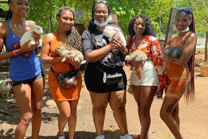 animal-farm-mini-zoo-bamboo-rafting-and-limestone-massage-private-tour