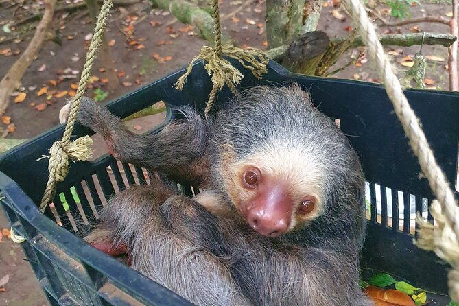 animal-rescue-center-around-san-jose-experience-tour