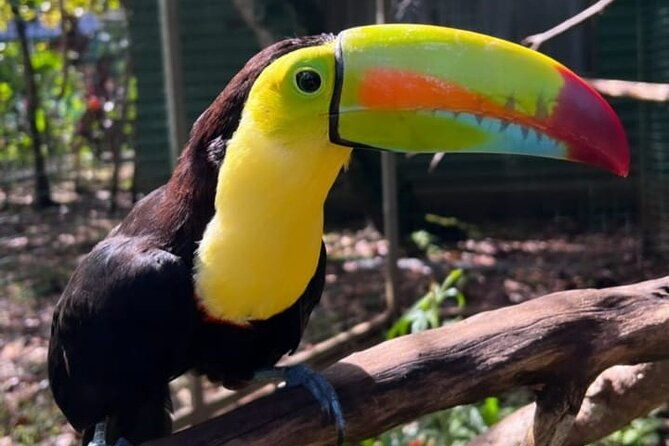 animal-rescue-center-around-san-jose-experience-tour