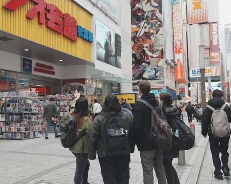 Anime & Manga Lovers Akihabara Tour  Private Tour - Key Points