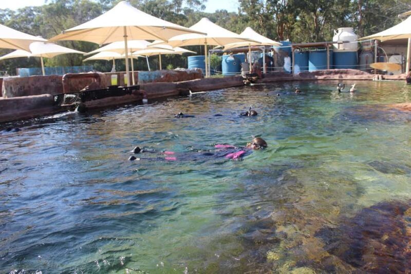 Anna Bay: Irukandji Entry + Coastal Currents Snorkel - What You Can Expect from the Tour