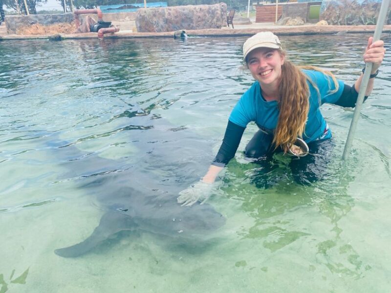 Anna Bay: Irukandji Entry Pass with Reef Shark Encounter - Key Points