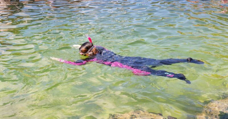 Anna Bay: Irukandji Entry Pass with Reef Shark Snorkel - Snorkeling with Reef Sharks and Tawny Nurse Sharks