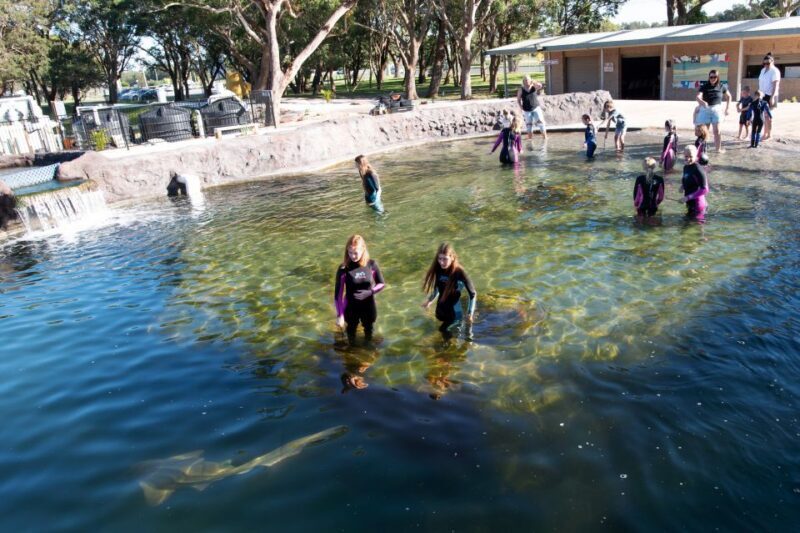 Anna Bay: Irukandji Entry Pass with Shallows Encounter - Who is this experience best for?  