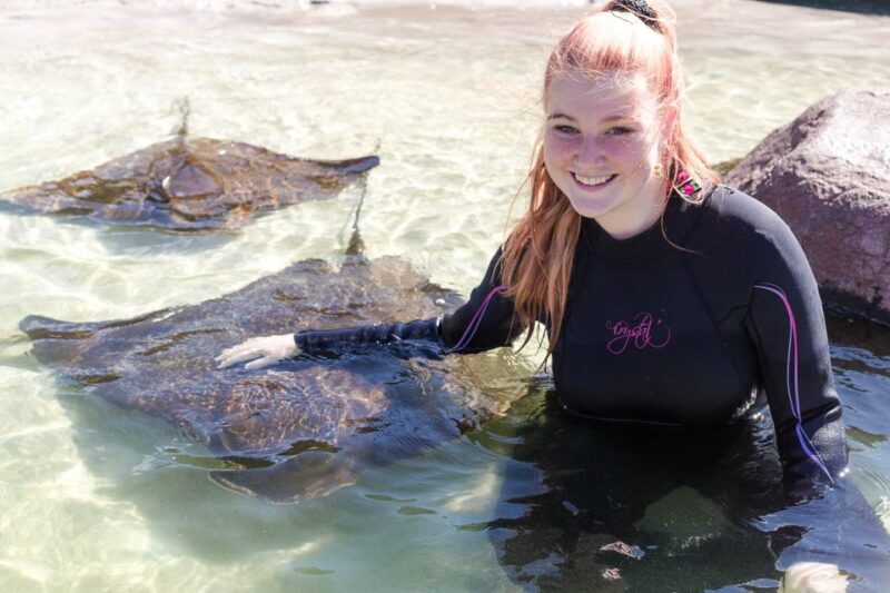 Anna Bay: Irukandji Entry Pass with Shallows Encounter - Pricing and Value