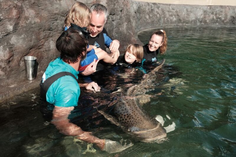 Anna Bay: Irukandji Entry Pass with Zebra Shark Encounter - The Experiences Value and Who It’s Best For
