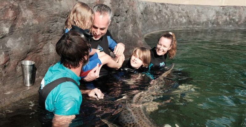 Anna Bay: Irukandji Entry Pass with Zebra Shark Encounter - FAQs