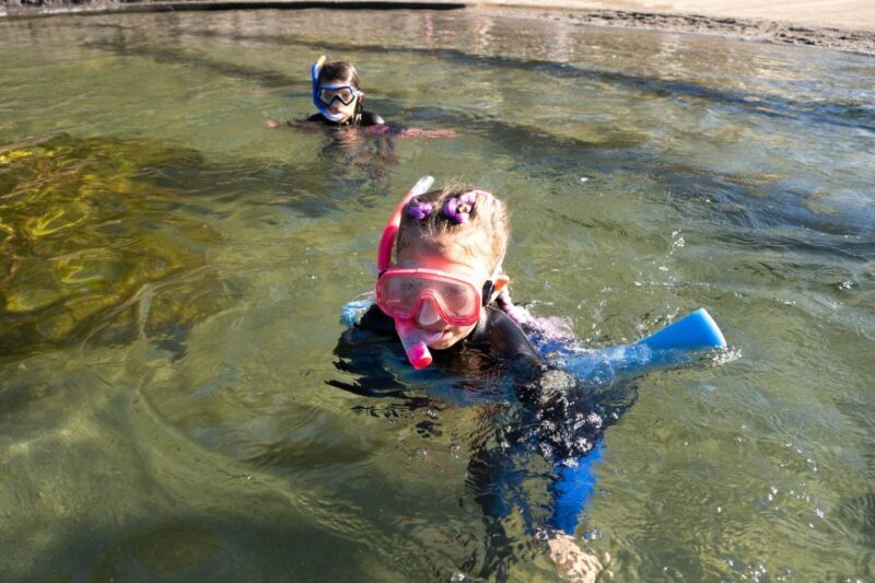 Anna Bay: Irukandji Entry with Zebra Shark Snorkel - Key Points
