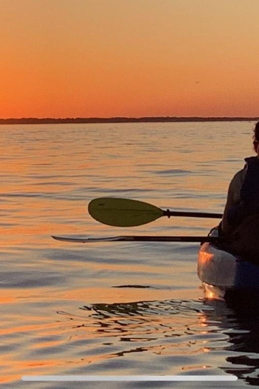 anna-maria-island-and-bradenton-sunset-kayak-dolphin-tour