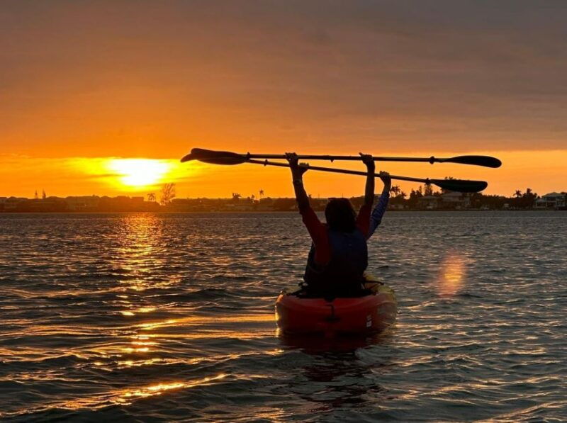anna-maria-island-and-bradenton-sunset-kayak-dolphin-tour