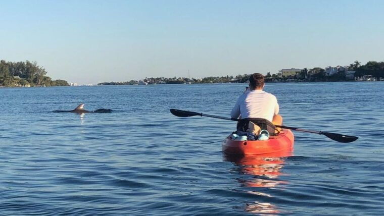 anna-maria-island-and-bradenton-sunset-kayak-dolphin-tour