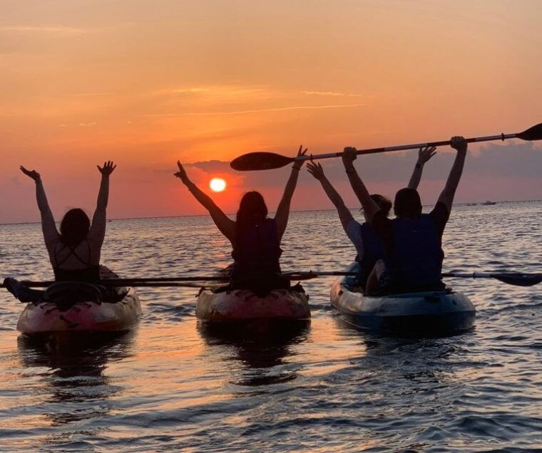 anna-maria-island-and-bradenton-sunset-kayak-dolphin-tour