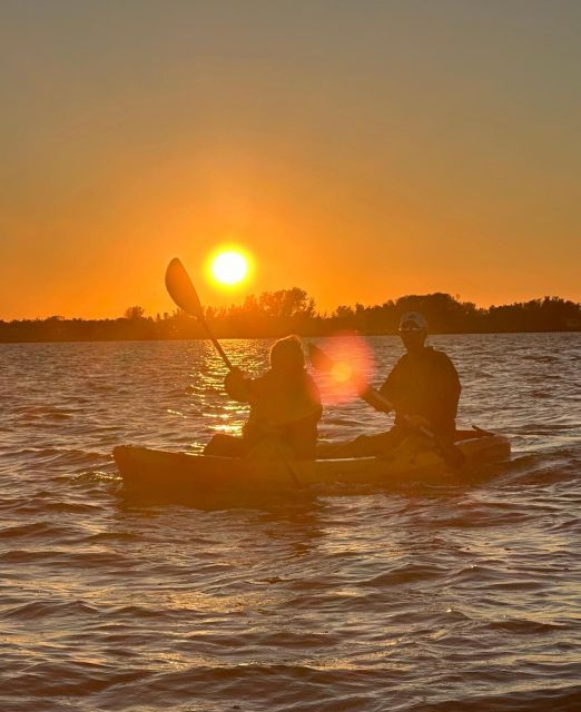anna-maria-island-and-bradenton-sunset-kayak-dolphin-tour