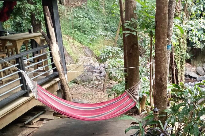 annandale-waterfall-forest-park