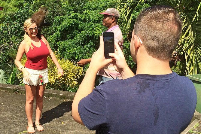 annandale-waterfall-forest-park