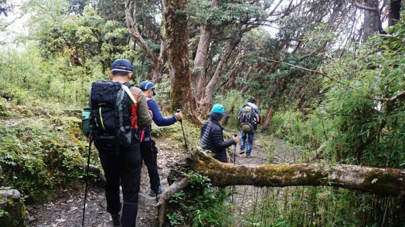 Annapurna: 8 Day Guided easy Trek at Annapurna - FAQ