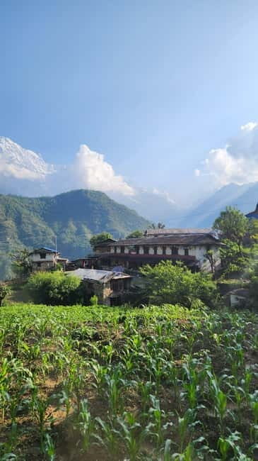 Annapurna Base Camp Trek: 12-Day Guided Tour - What Makes the Trek Special