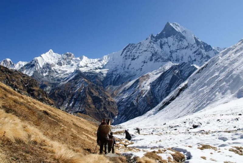 Annapurna Base Camp Trekking 5 Days - Introduction