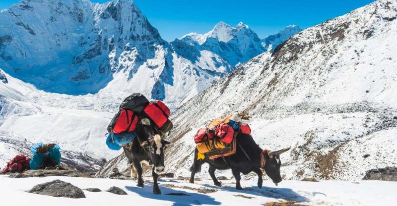 annapurna-circuit-and-tilicho-lake-17-days-trek