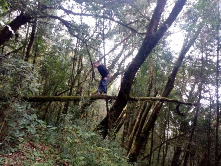 annapurna-circuit-trek-10-days-from-kathmandu-or-pokhara