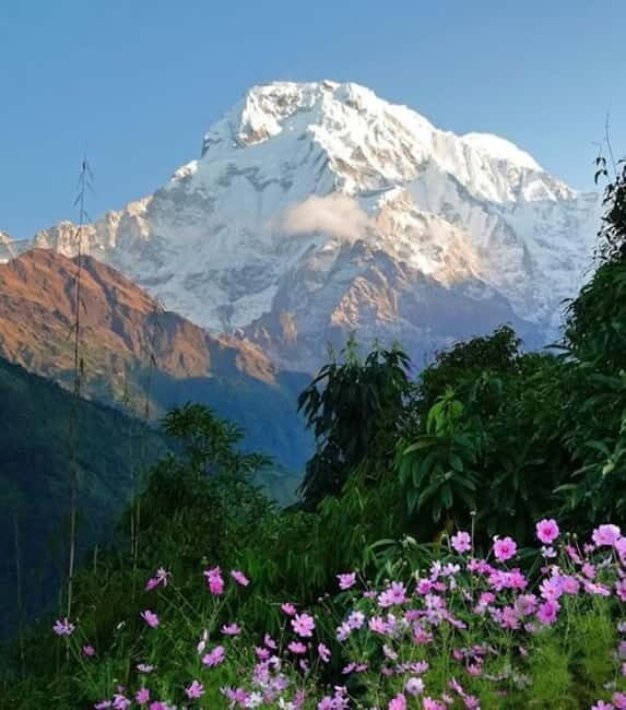 Annapurna Middle Peak Expedition 2025 | 2026 - The Value of the Overall Experience