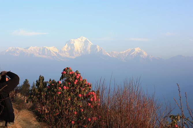 Annapurna Poon Hill Trekking - 4 Days from Pokhara - What Makes This Trek Special?
