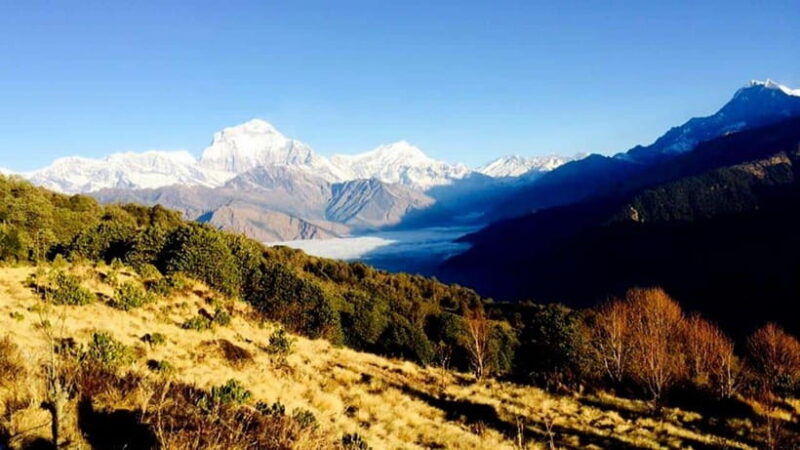 annapurna-trek-with-throng-la-pass