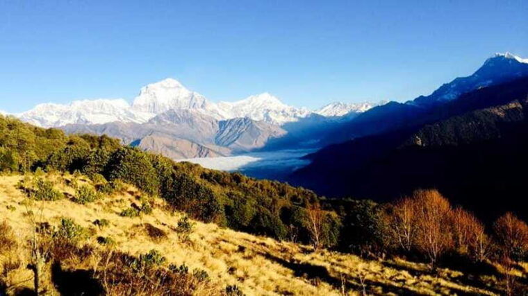 annapurna-trek-with-throng-la-pass