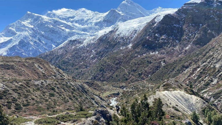 annapurna-trek-with-throng-la-pass