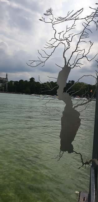 Annecy: enjoy a private city tour with a native guide - What Makes This Tour Special?