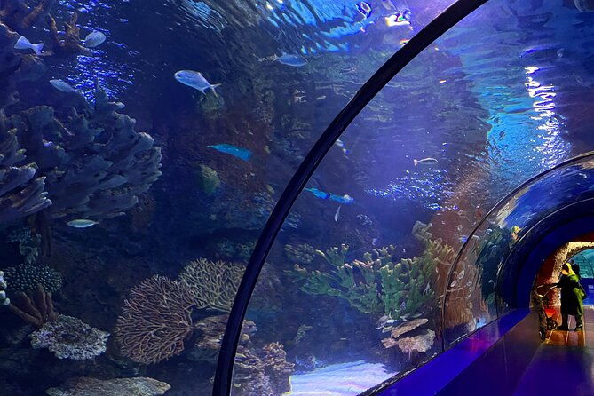 antalya-aquarium-and-face-to-face-wax-museum-private-transfer